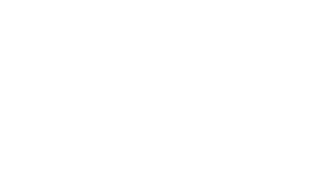 Wise Immigration & Study Services