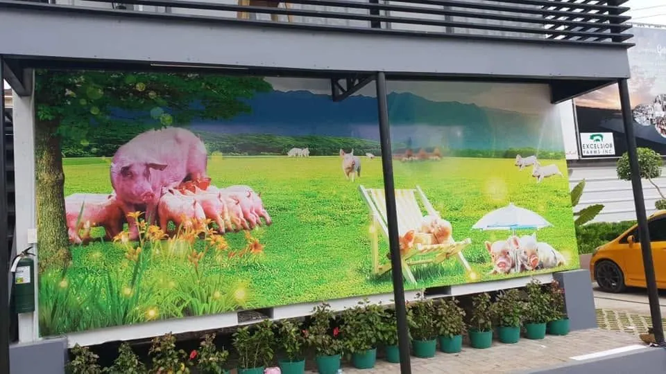 Framed tarpaulin, printed and installed by MCAV