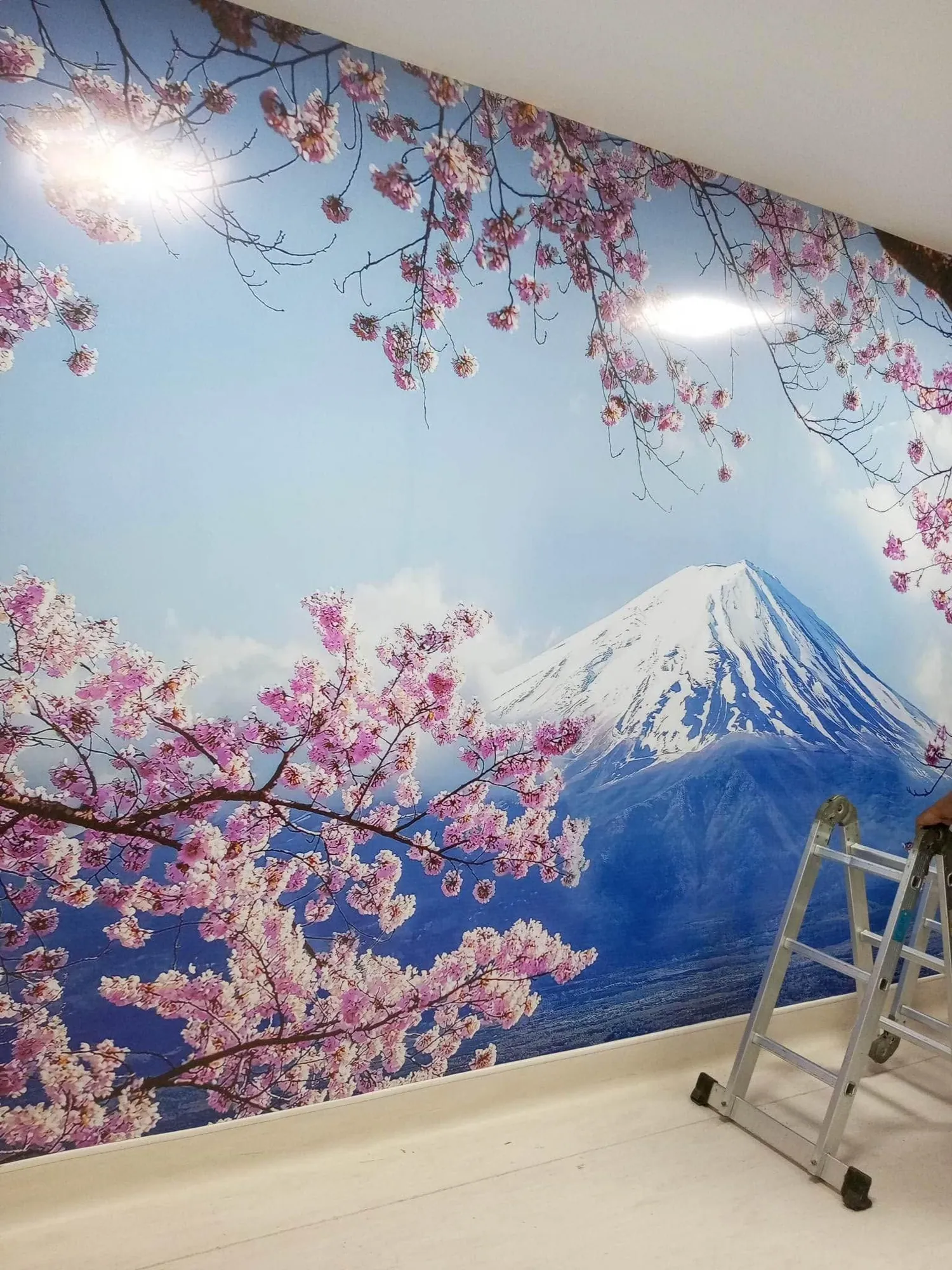 Vinyl graphics, printed and installed by MCAV