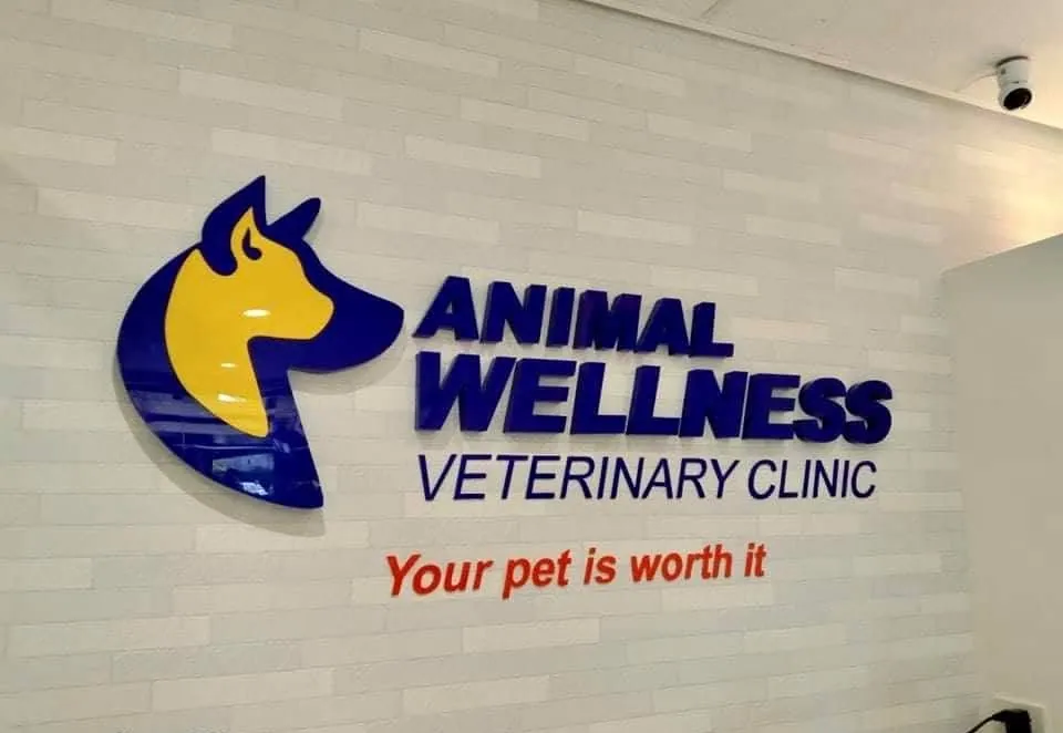 Animal Wellness Veterinary Clinic acrylic built-up letters, printed and installed by MCAV