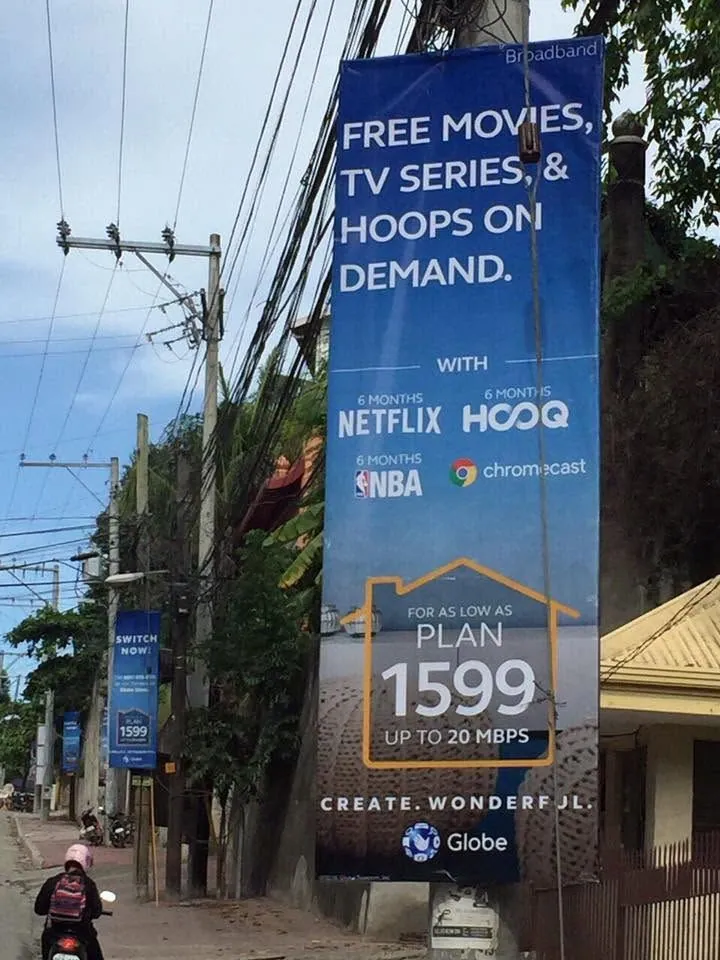 Globe tarpaulin, printed and installed by MCAV