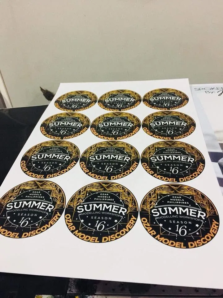 Ozar Model Discovery die-cut stickers, fresh off MCAV's printer